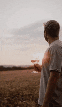 Blackriver_Bliesgau_Bio_Gin bio gin blackriver blackrivergin GIF