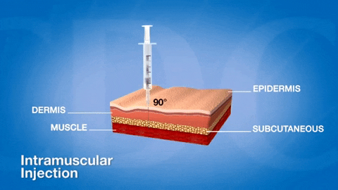 alegalazb giphygifmaker GIF