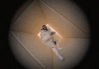 OfficialTinie pass out milly rock tinie tempah tinie GIF