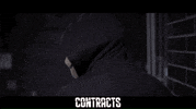 Martial Arts Fight GIF by Indiecan Entertainment Inc.