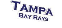 Tampa Bay Rays Baseball Sticker by GIPHY Text
