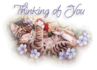 Thinking Of You GIF