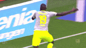 football soccer GIF by 1. FC Köln