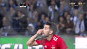 sl benfica football GIF by Sport Lisboa e Benfica