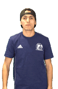 Hamburg Hh Sticker by 11plusmedia