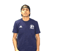 Hamburg Hh Sticker by 11plusmedia