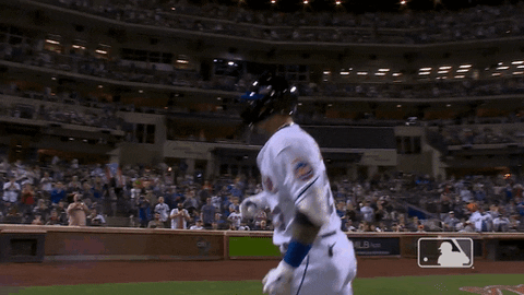 Excited Ny Mets GIF by New York Mets