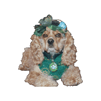Cocker Spaniel Sticker by Geekster Pets