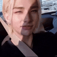 tamazin skz straykids hyunjin skzhyunjin GIF