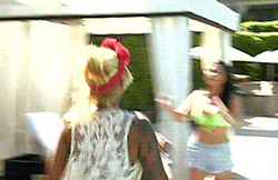 bad girls club television GIF by Oxygen