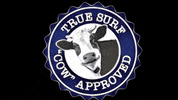 truesurf surf cow surfing true axis GIF