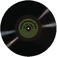 Vinyl Record Sticker by Tio Aventura