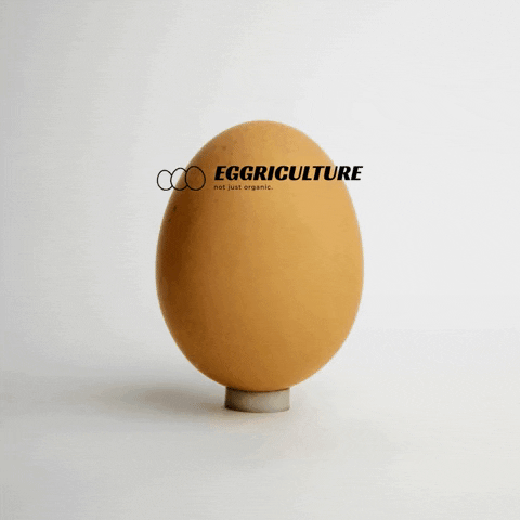 eggriculture eggriculture GIF