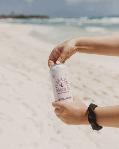 LunaBayBooch giphyupload drink beach kombucha GIF