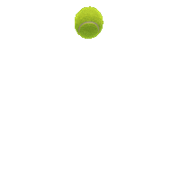 Tennis Ball Sticker by 2K Games