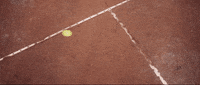 mom + pop music tennis GIF by Courtney Barnett