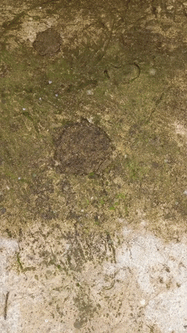 Simongip giphyupload GIF