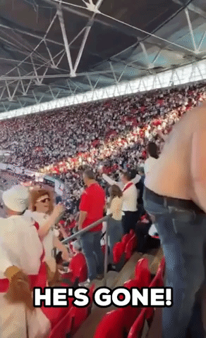 England Fan Takes a Tumble as Team Defeat Denmark