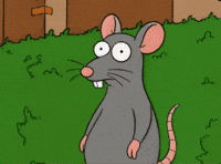 Awkward Rat GIF by Flexxed