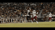 Football Catch GIF by UCF Knights