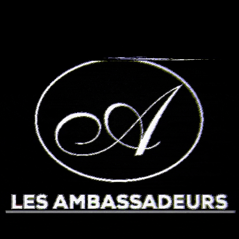 lesambassadeursavignon giphygifmaker club night club soiree GIF