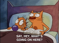 nicksplat GIF