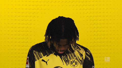 Borussia Dortmund Chukwuemeka GIF by Bundesliga