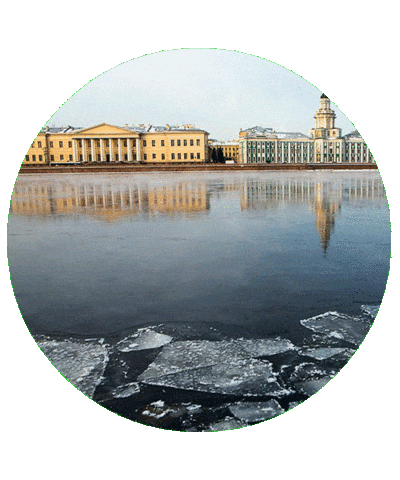 Визитроссия Sticker by kchr