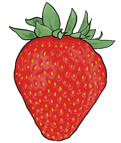 aweberdev giphyupload Sticker