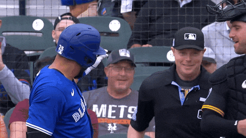 Come On Smile GIF by Toronto Blue Jays