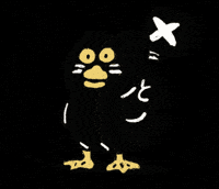 貓 No GIF