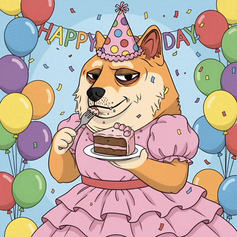 Happy Birthday Party GIF by Doge Pound