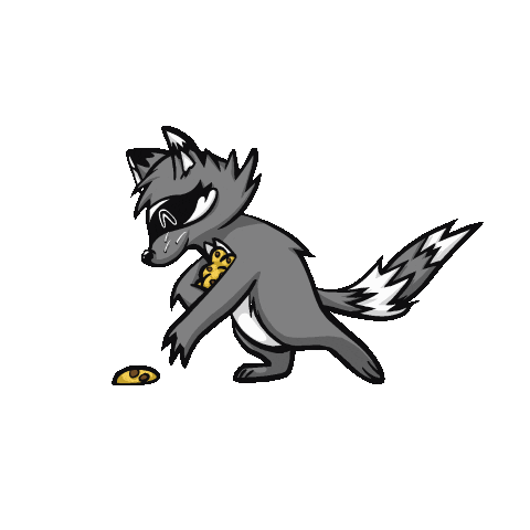 TraitAbstrait giphyupload twitch cookie raccoon Sticker