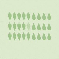 Forest Environment GIF by The Pew Charitable Trusts