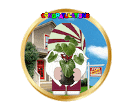 Congratulations Gnome Sticker