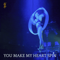 GIF by Teatro ZinZanni