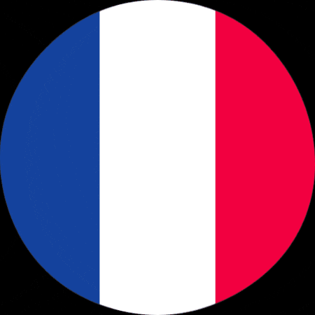 VoiceCrafters flag france french fr GIF