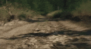 Music Video Running GIF by Peach Pit