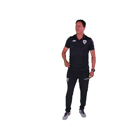 soccer futbol Sticker by INDEPENDIENTE DEL VALLE