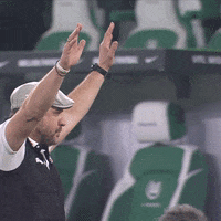 1 Fc Cologne Football GIF by 1. FC Köln