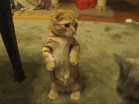 hug GIF