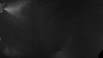 scifri sneezing GIF by Science Friday