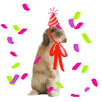 Birthdaybehavior Sticker
