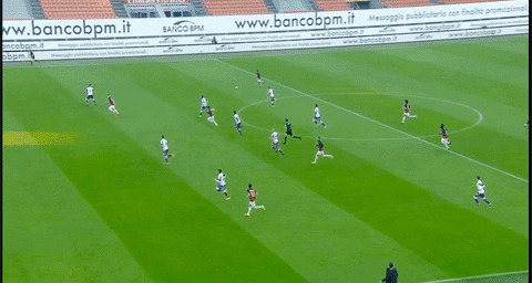 ArchiteuthisDux giphyupload GIF