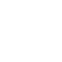 Lw Lwmusic Sticker by Lainey Wilson