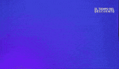 Pol GIF by Mediaset España