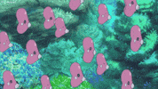 Pokemon Fish GIF