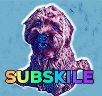 subskile  GIF