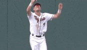 Super Regional Baseball GIF by NCAA Championships