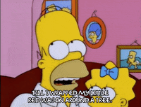 homer simpson episode 3 GIF